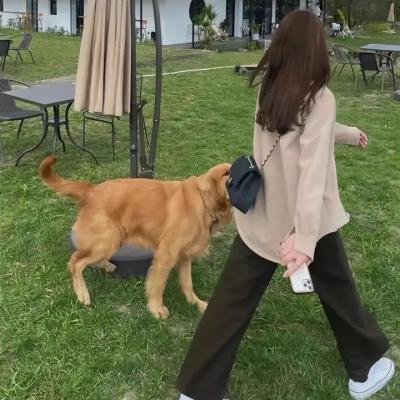 兰闺飞凤